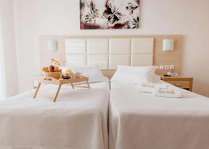 Vournelis Hotel&spa Nea Iraklitsa